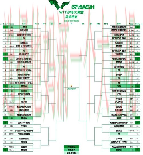 V体育综合版全方位赛事解析